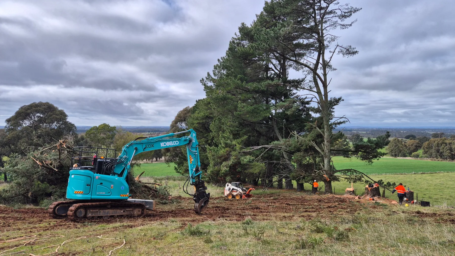 EDX excavator clearing vegetation on a rural site